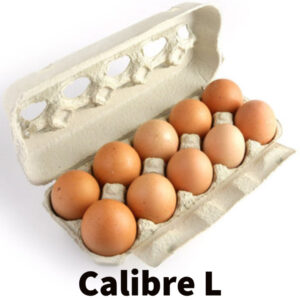 Oeufs - Boite De 10 -calibre L